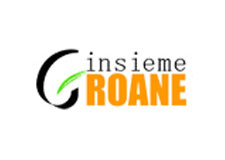 Insieme Groane